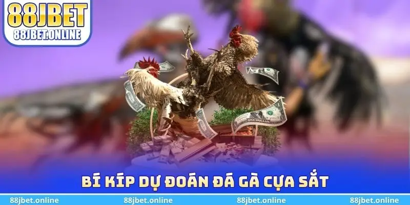 Bí kíp dự đoán đá gà cựa sắt