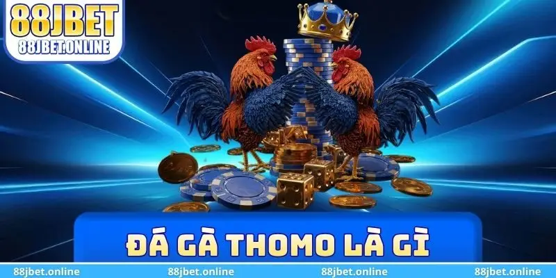Đá gà Thomo là gì