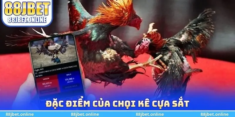 Đặc điểm của chọi kê cựa sắt
