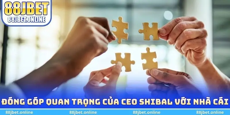 Đóng góp quan trọng của CEO Shibal với nhà cái