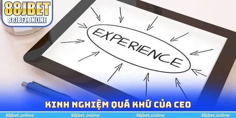 Kinh nghiệm quá khứ của CEO
