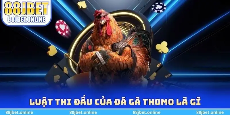 Luật thi đấu của đá gà Thomo là gì