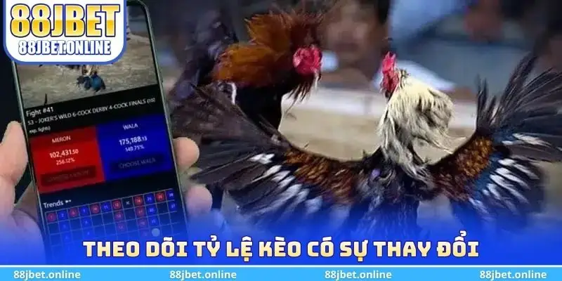 Theo dõi tỷ lệ kèo có sự thay đổi